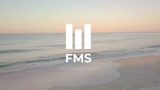 FMS - Free Non Copyright EDM Music #031