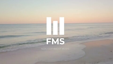 FMS - Free Non Copyright EDM Music #031