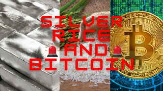 Silver Rice Bitcoin update / Weekly Forex Forecast /Trading xagusd