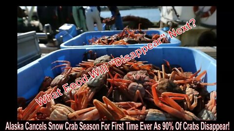 Alaska Cancels Snow Crab Season For First Time Ever As 90% Have Disappeared?