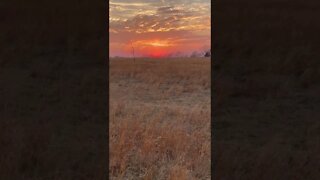 Sunset on the Prairie - #Shorts #YouTubeShorts #Sunset