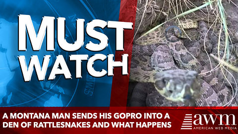 A Montana man sends his GoPro into a den of rattlesnakes and what happens
