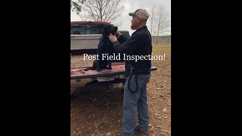 Gundog Training Tip - Post Field Inspection