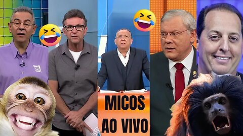 MELHORES MICOS, AS GAFES, OS ERROS AO VIVO EM PROGRAMA ESPORTIVO