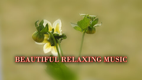 DEEP RELAXATIO II BEAUTIFUL RELAXING MUSIC