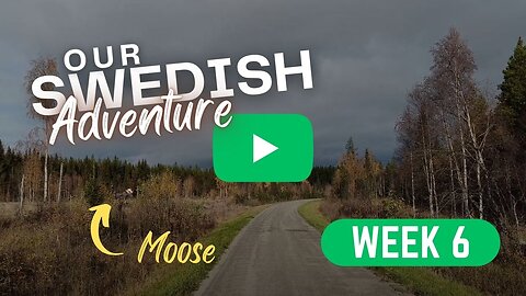 Our Swedish Adventure Week 6: Explorations, Wildlife Encounters, and House Hunting 🌲