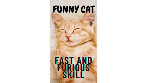 Baby cat fast and furious skill | Cute Pet 🐶 🥺