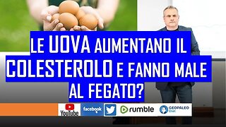 Le Uova aumentano il Colesterolo e fanno Male al Fegato?