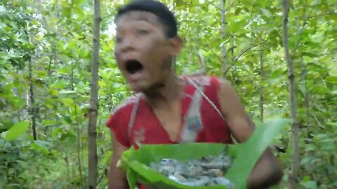 Shrimp eating in jungle, cooking on a rock | Primitive Wildlife-6