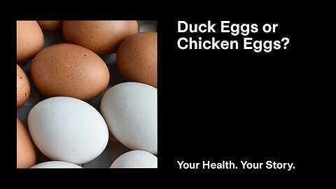 Duck Eggs or Chicken Eggs?