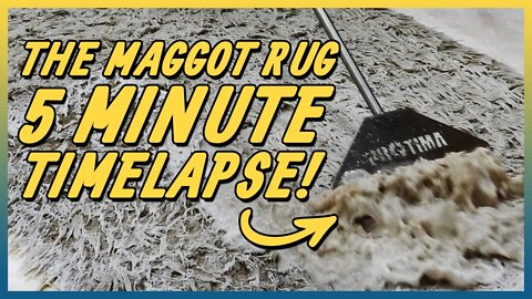 Maggot Infested Rug Time lapse | Satisfying Carpet Cleaning