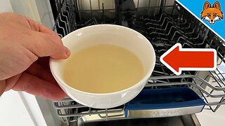 EVERYONE should put THIS bowl into their DISHWASHER 💥 (Every 2 months) 🤯