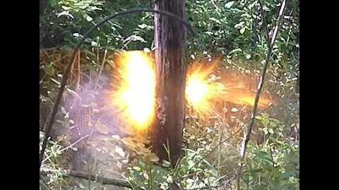 Dynamite - How to cut down a tree using real Dynamite