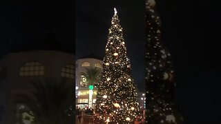 Disney Springs Christmas Tree Stroll 2022 - Roam with us!