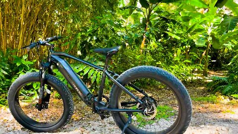 FULL Farm + Food Forest Tour on The Velowave Electric bike! (Before Hurricane Ian)