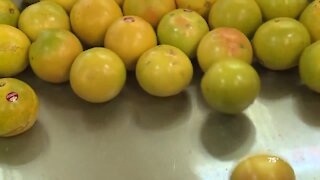 Citrus industry dealing with high tariffs
