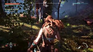 Let's Play Horizon Zero Dawn: Guerrilla games | PcGameplay part 4