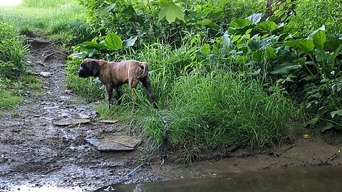 Otto Makes a Splash!