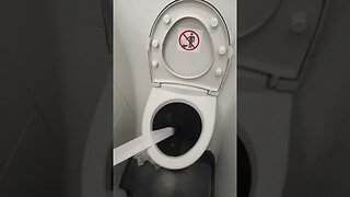 HOLIDAY AIRPLANE TOILET FAIL, GOING TO BE A LONG FLIGHT