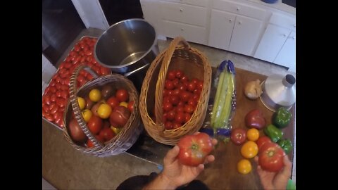 Huge Tomato Harvest Ready to Can and Store