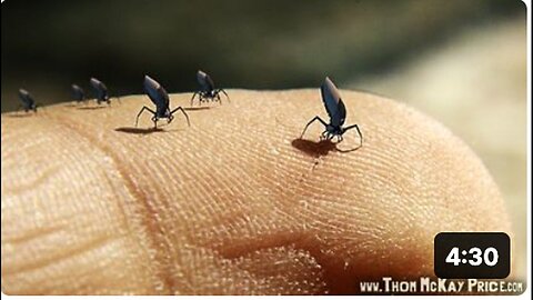 MORGELLONS WIE GRAPHEN-NANOBOTS sind in den COVID-"Impfungen" enthalten🙈