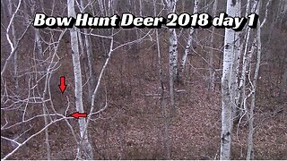 Bow Hunt Deer 2018 day 1