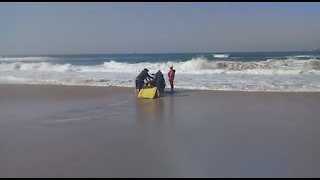 SOUTH AFRICA - Durban - Tourist drowns at beach (Videos) (69v)