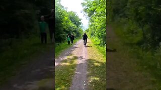 trail ride timelapse #cycling #cyclingpath #bike #newyork #bikelife #transportation #nature