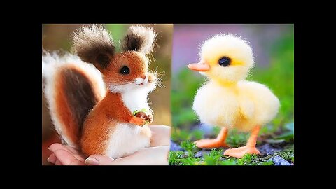 Cutest baby animal videos compilation - Cute funny baby animals
