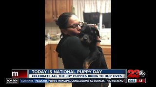 March 23 marks National Puppy Day