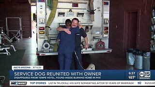 Service dog reunited with owner