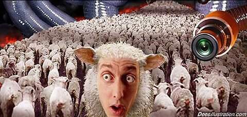 Sheeple - How We 'Awake' See the 'Globe' and PLAN-demic Retards! [20.04.2022]
