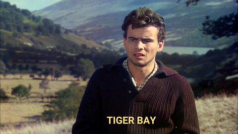 Tiger Bay Colorized