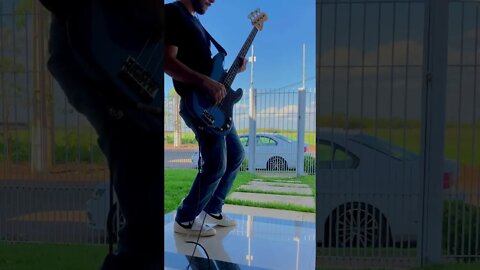 With a Little Help from My Friends - The Beatles (Bass Cover)