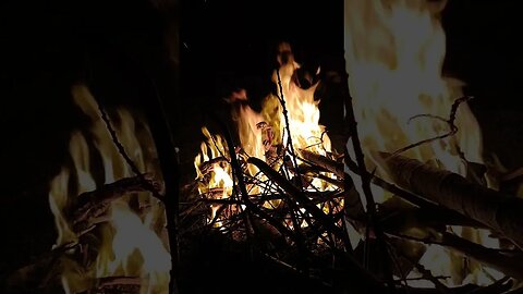 Campfire Serenity ASMR 🔥🌲 - #Shorts #YouTubeShorts #ASMR