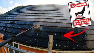 Property Value 📈 After 1 EASY Job! - Satisfying Roof Clean