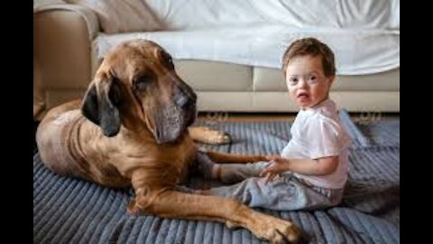 Watch How My Loyal Dog Watches My Children, Be Happy ❤