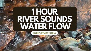 RIVER SOUNDS - WATER FLOW | SOOTHING RELAXATION | SLEEPING, STUDY, CHILL