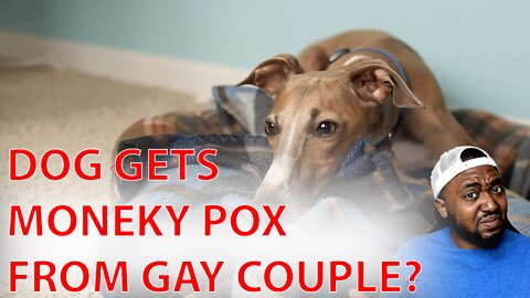 DON'T ASK QUESTIONS! Dog Contracts MONKEY POX From Non Monogamous Gay Couple!