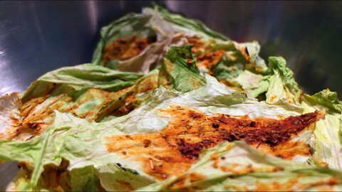 Awesome Dehydrator Lettuce Chips