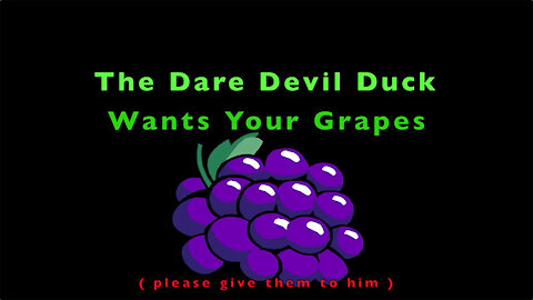 The Dare Devil Duck Wants Your Grapes