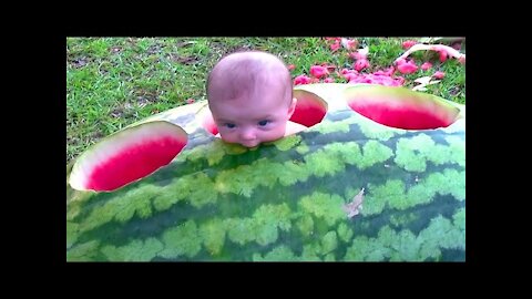 Funniest Baby Videos Compilation of November 2021