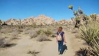 Joshua Tree National Park Facts 2022