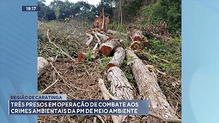 Região de Caratinga: Três Presos em Operação de Combate aos Crimes Ambientais da PM de Meio Ambiente
