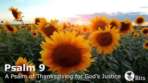 PSALM 009 // PRAYER AND THANKSGIVING FOR THE LORD'S RIGHTEOUS JUDGMENTS