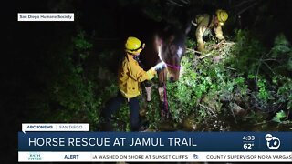 Horse rescued after falling off cliff in Jamul
