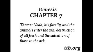 Genesis Chapter 7 (Bible Study)