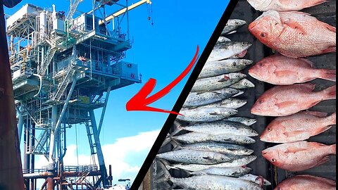 This OIL RIG was LOADED with Fish! | Alabama Red Snapper Opening Weekend