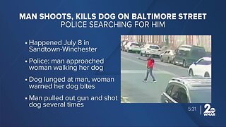 Police search for man who shot a dog multiple times in West Baltimore