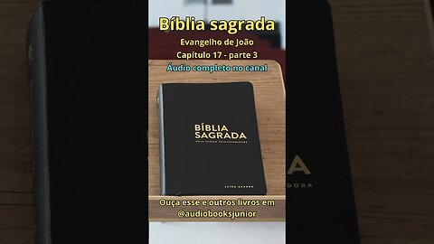 Bíblia Sagrada - Evangelho de João - Capítulo 17 - Parte 3